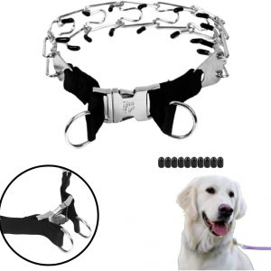 Pets Accessories